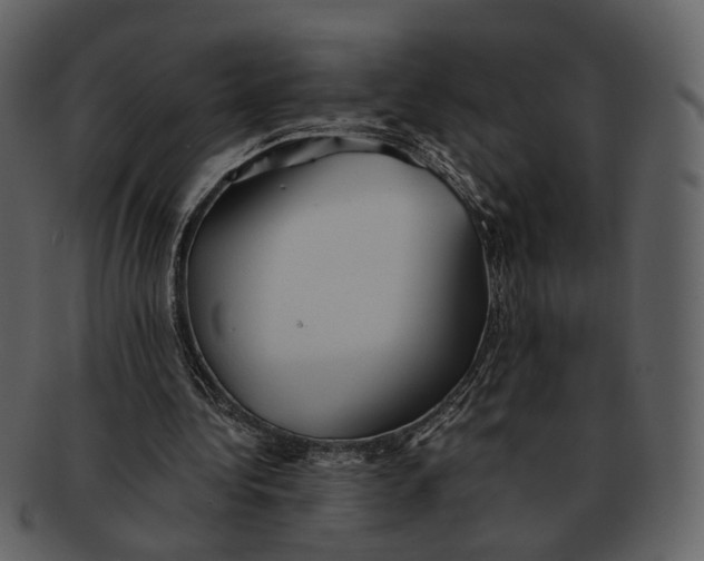 X0000093110340200710171227