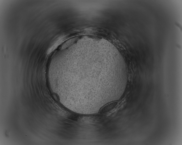 X0000093110341200710171227