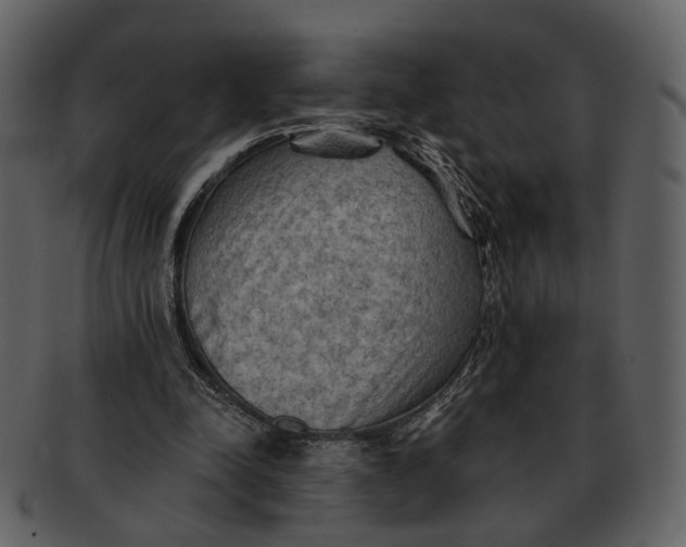 X0000093110342200710171227