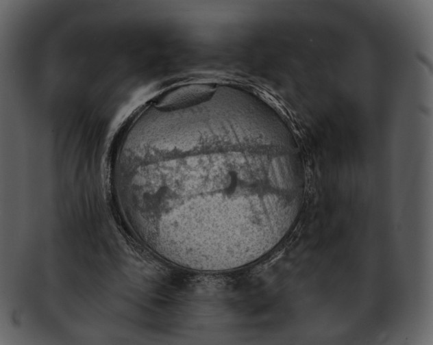 X0000093110343200710171227