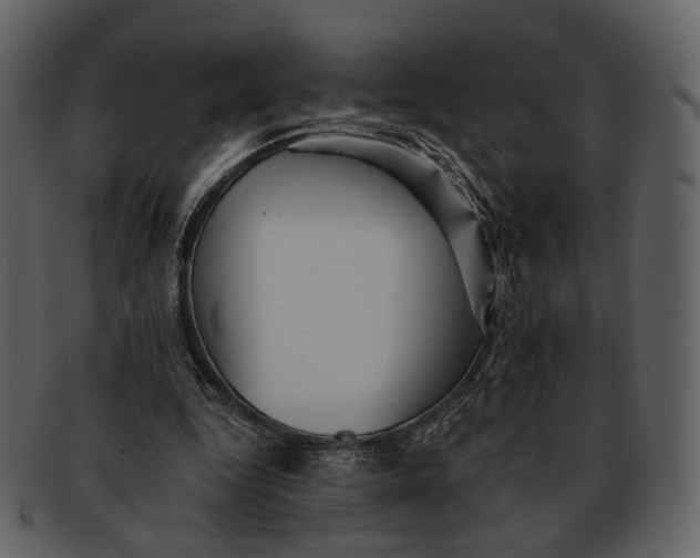 X0000093110344200710171227