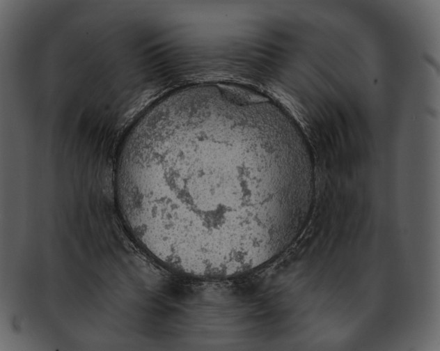 X0000093110345200710171227