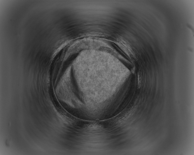 X0000093110348200710171227