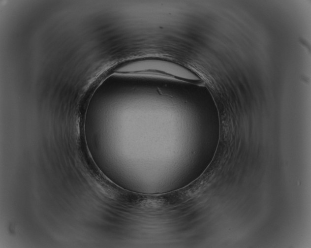 X0000093110350200710171227