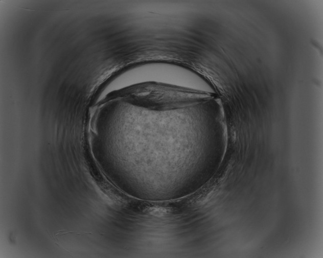 X0000093110352200710171227