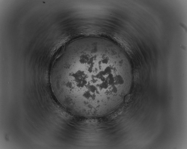 X0000093110353200710171227