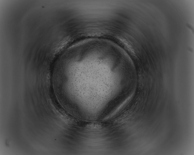 X0000093110354200710171227