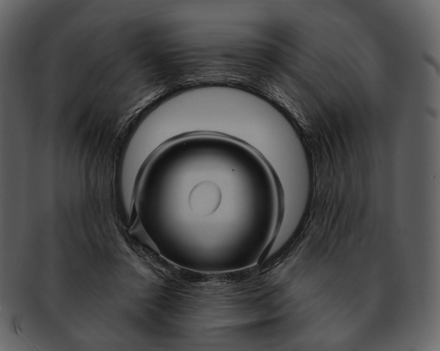 X0000093110356200710171228