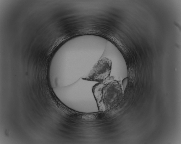 X0000093110357200710171228