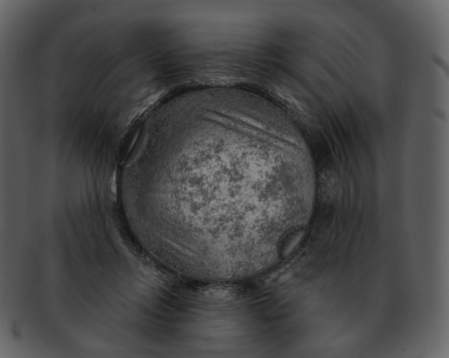 X0000093110358200710171228