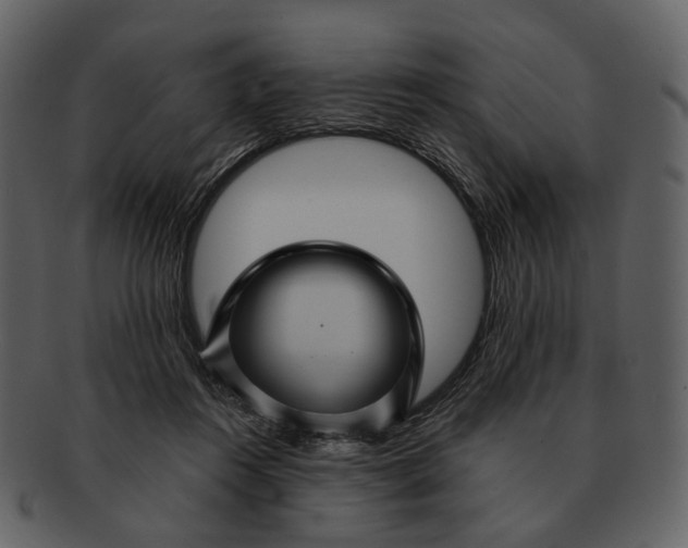 X0000093110360200710171228