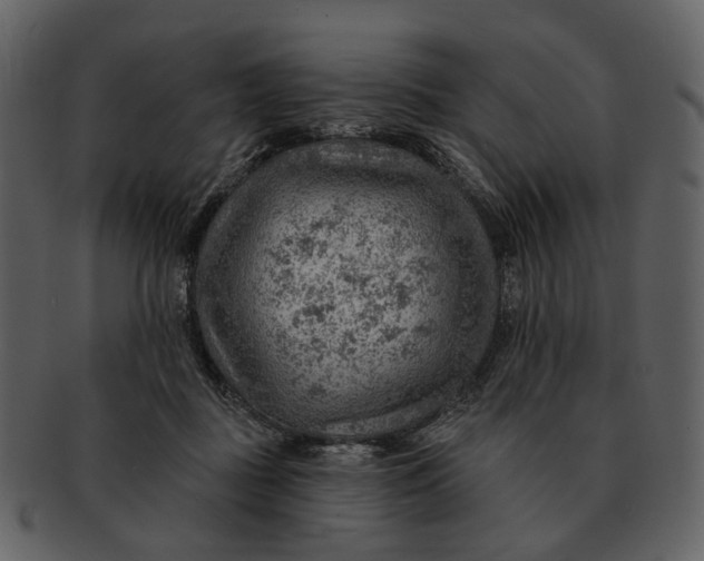 X0000093110363200710171228