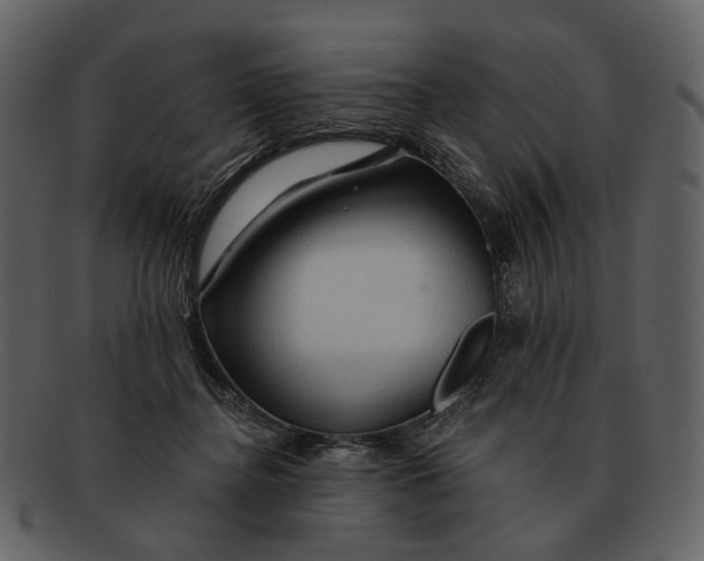 X0000093110364200710171228