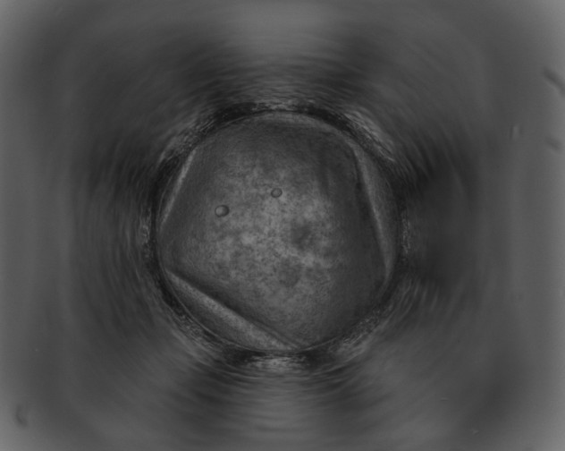 X0000093110365200710171228