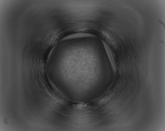 X0000093110366200710171228