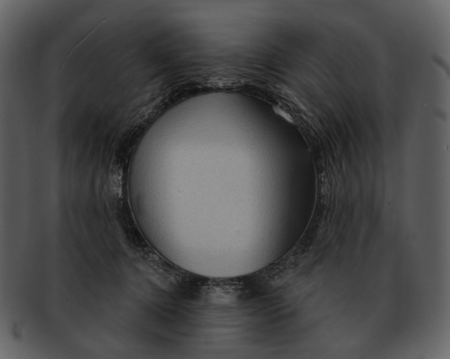 X0000093110368200710171228