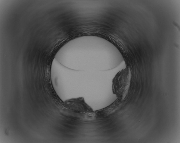 X0000093110369200710171228