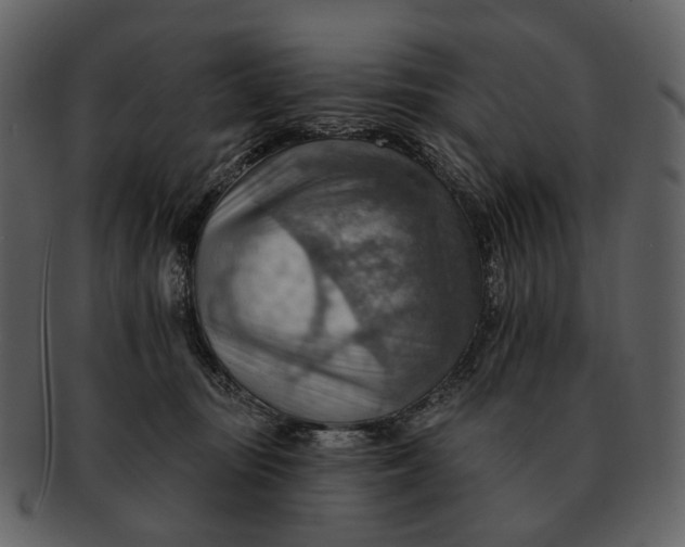 X0000093110371200710171228