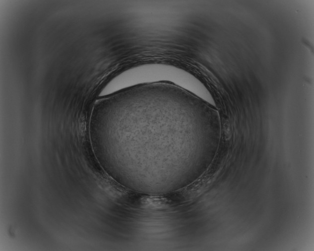 X0000093110372200710171228