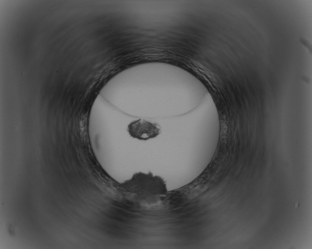 X0000093110373200710171228