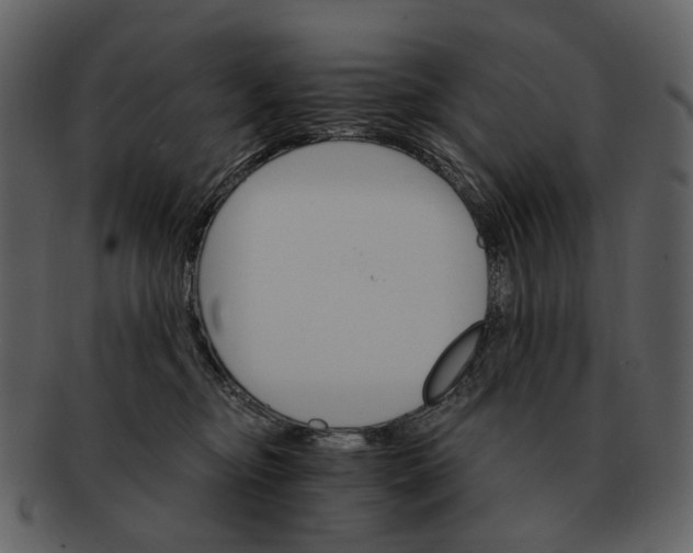 X0000093110374200710171228