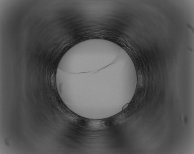 X0000093110375200710171228