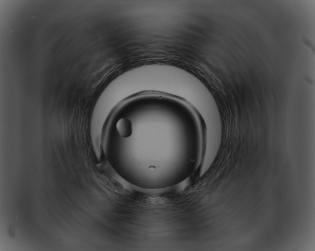 X0000093110376200710171228