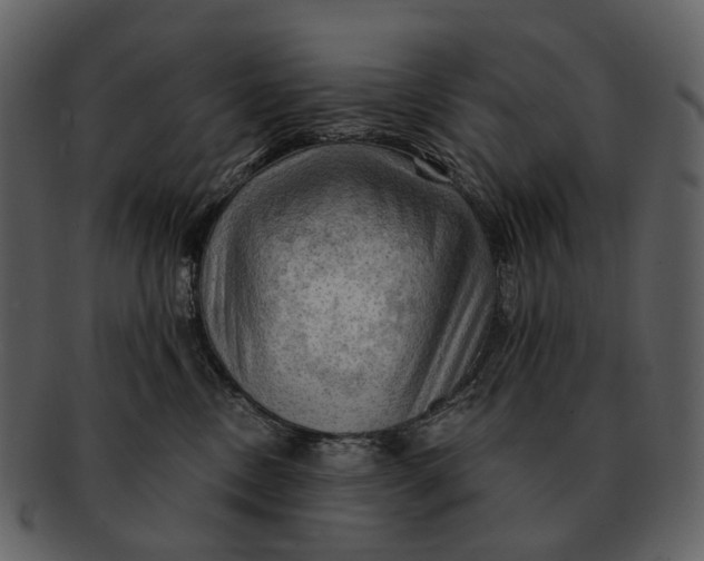 X0000093110378200710171228