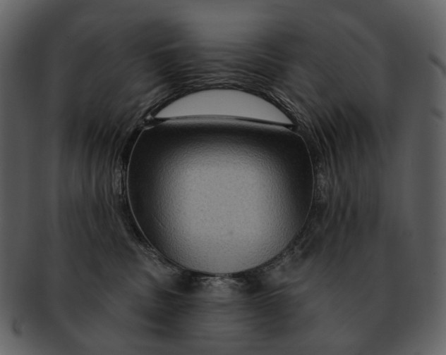 X0000093110379200710171228