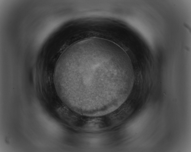 X0000093110382200710171228