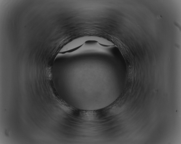 X0000093110383200710171228