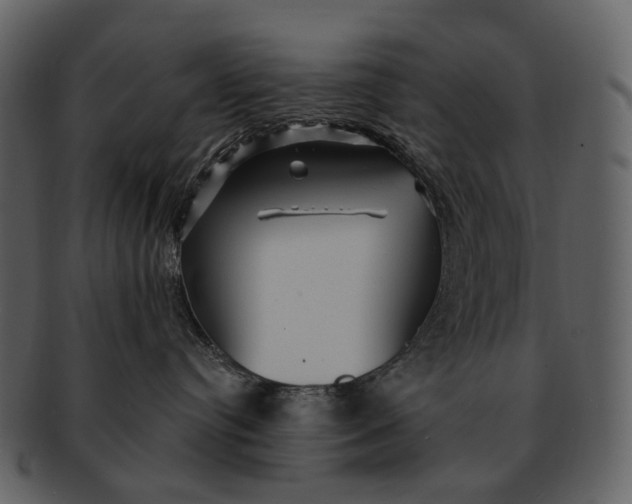 X0000093110384200710171228