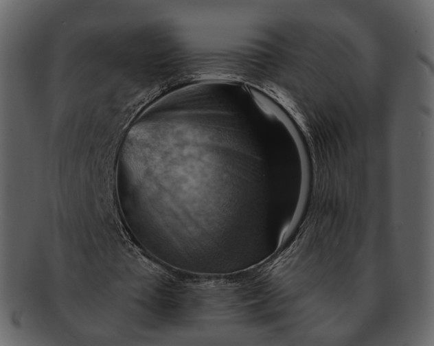 X0000093110385200710171227