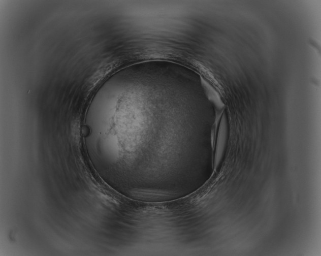 X0000093110386200710171227