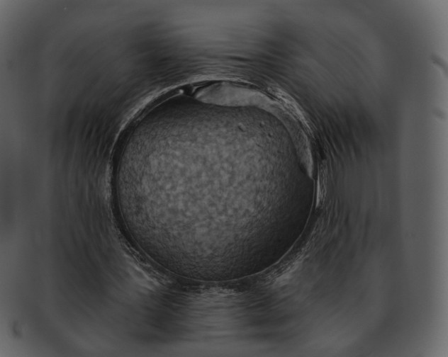 X0000093110387200710171227