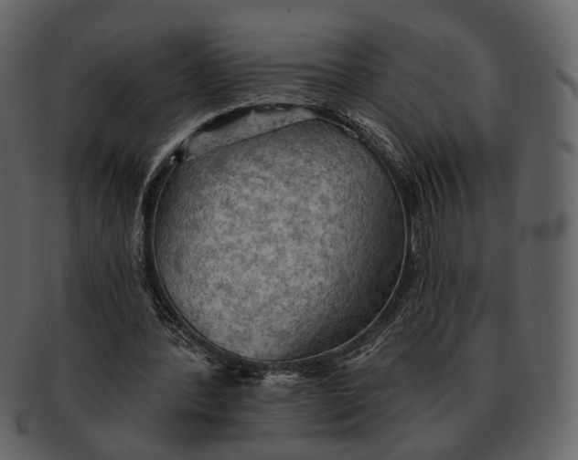 X0000093110388200710171227