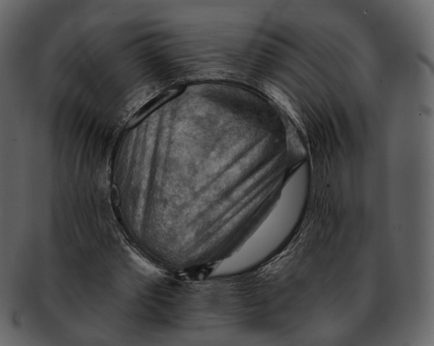 X0000093110389200710171227