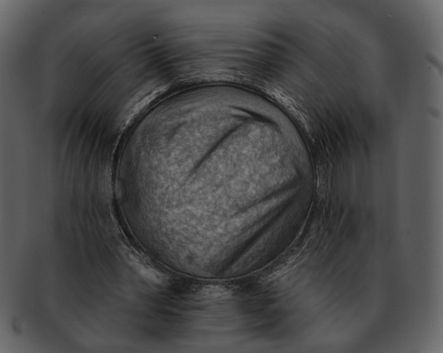 X0000093110390200710171227