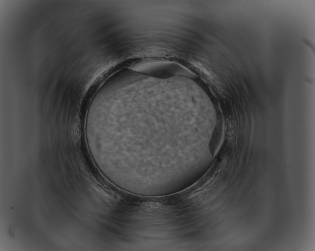 X0000093110392200710171227