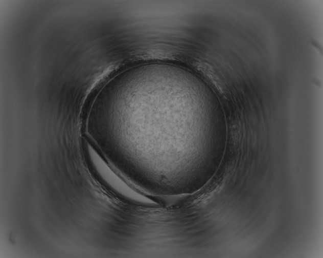 X0000093110395200710171227