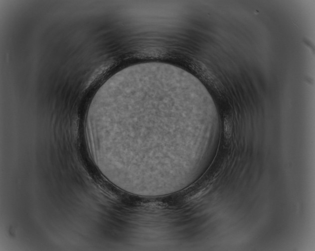 X0000093110396200710171227