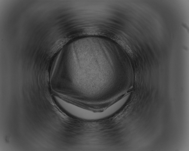 X0000093110397200710171227