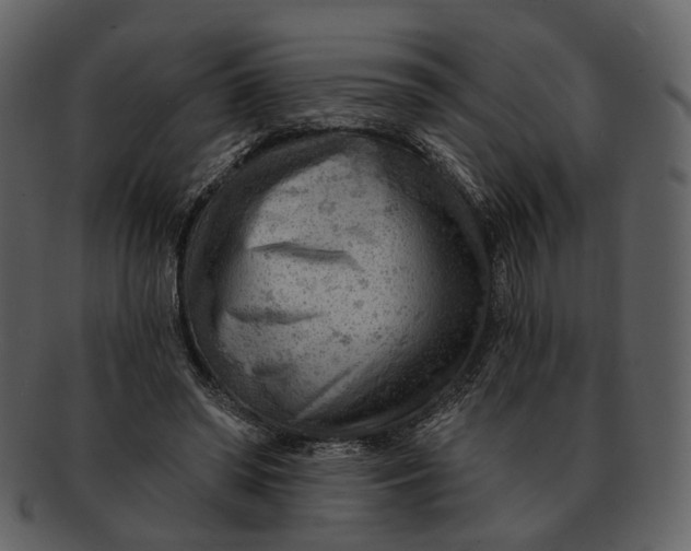 X0000093110398200710171227