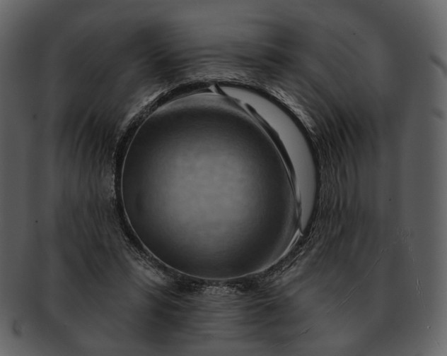 X0000093110399200710171227