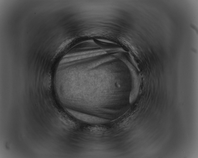 X0000093110400200710171227