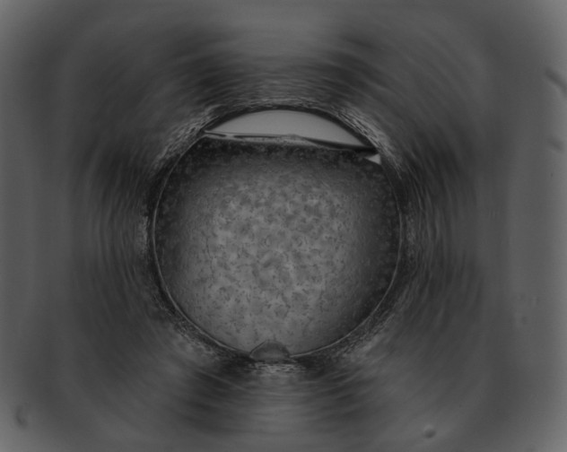 X0000093110401200710171227