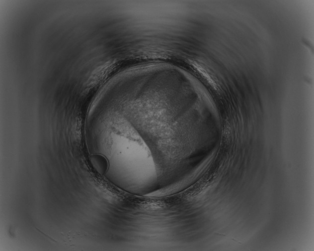 X0000093110402200710171227