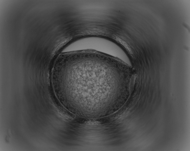 X0000093110403200710171227