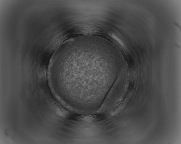 X0000093110405200710171227