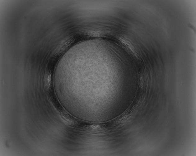 X0000093110406200710171227